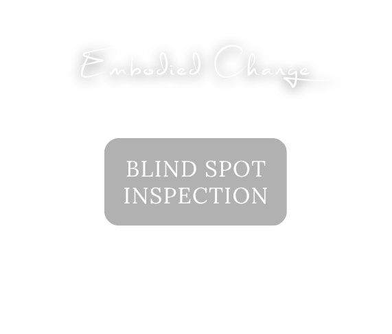 Embodied Change: Blind Spot Inspection, im Studio und online