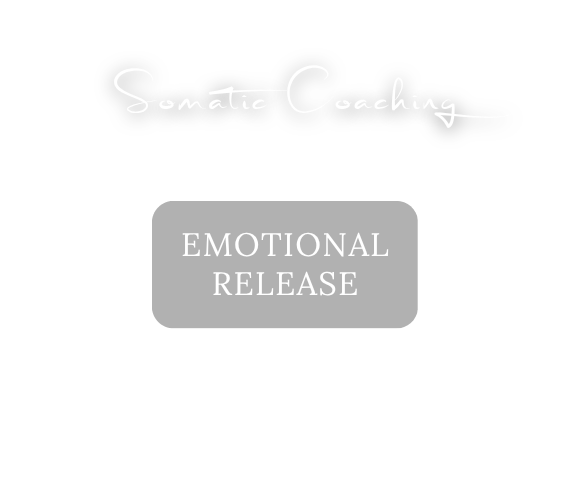 Somatic Coaching: Emotional Release, im Studio und online