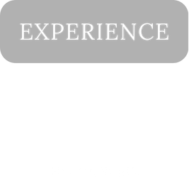 Experience, nur im Studio