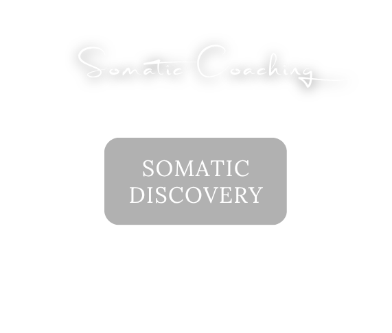 Somatic Coaching: Somatic Discovery, im Studio und online