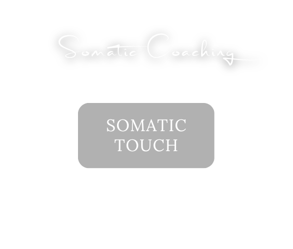 Somatic Coaching: Somatic Touch, nur im Studio